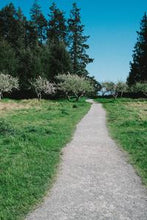 Load image into Gallery viewer, 2f695de4f07c82de35597637f4336ccf69c15857
