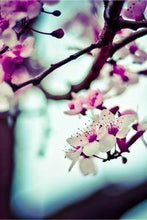 Load image into Gallery viewer, 76ce2c3da5b62766579c38a75974869077f21b36
