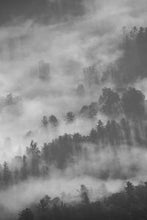 Load image into Gallery viewer, 20faa7bd564b77354e3a5d7546df05693968960f
