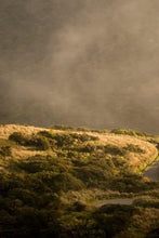 Load image into Gallery viewer, b98f5072967a975f7f7ddd2a1b1b49d1f92490da
