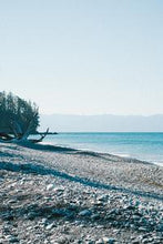 Load image into Gallery viewer, dc4121dc3dfa364549dde8ce2cc0b11f65a732d8
