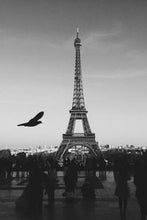 Load image into Gallery viewer, ef8a6fad2180c9105882df575e87bd90c38e9ee6
