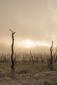 ea155a5824cfd87df16a48b5ffafc4c72ab9db9b