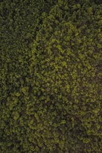 Load image into Gallery viewer, 0ccaab1626df0f631a898abdd6998fe5608721ad
