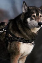 Load image into Gallery viewer, 905219e02038ac5c30a69b75338107d20a1ed437
