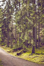 Load image into Gallery viewer, 48012baa6fb8e4c880e7f7ecedceea07f03bbade
