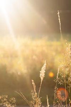 Load image into Gallery viewer, 45e096c57705343ea20638522a6311b27e6d6f8a
