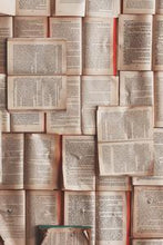 Load image into Gallery viewer, b3137ea47d523d07eb576861aa75a4fb31467ee1
