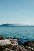 Load image into Gallery viewer, 928c0f40fe4208d3749958b5d96306e8a59290ba
