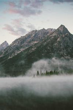 Load image into Gallery viewer, bc518f339f26896e984c22a0b4820ea4e66116ae
