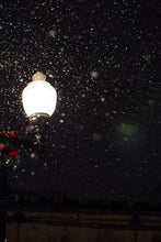 Load image into Gallery viewer, 7b3a18b11d6487dec28bbd364353b51a2032e22e
