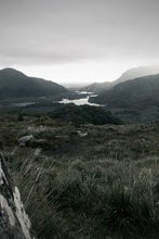 画像をギャラリービューアに読み込む, d5e5f69895365a431cea45b4da5752f75b51a655
